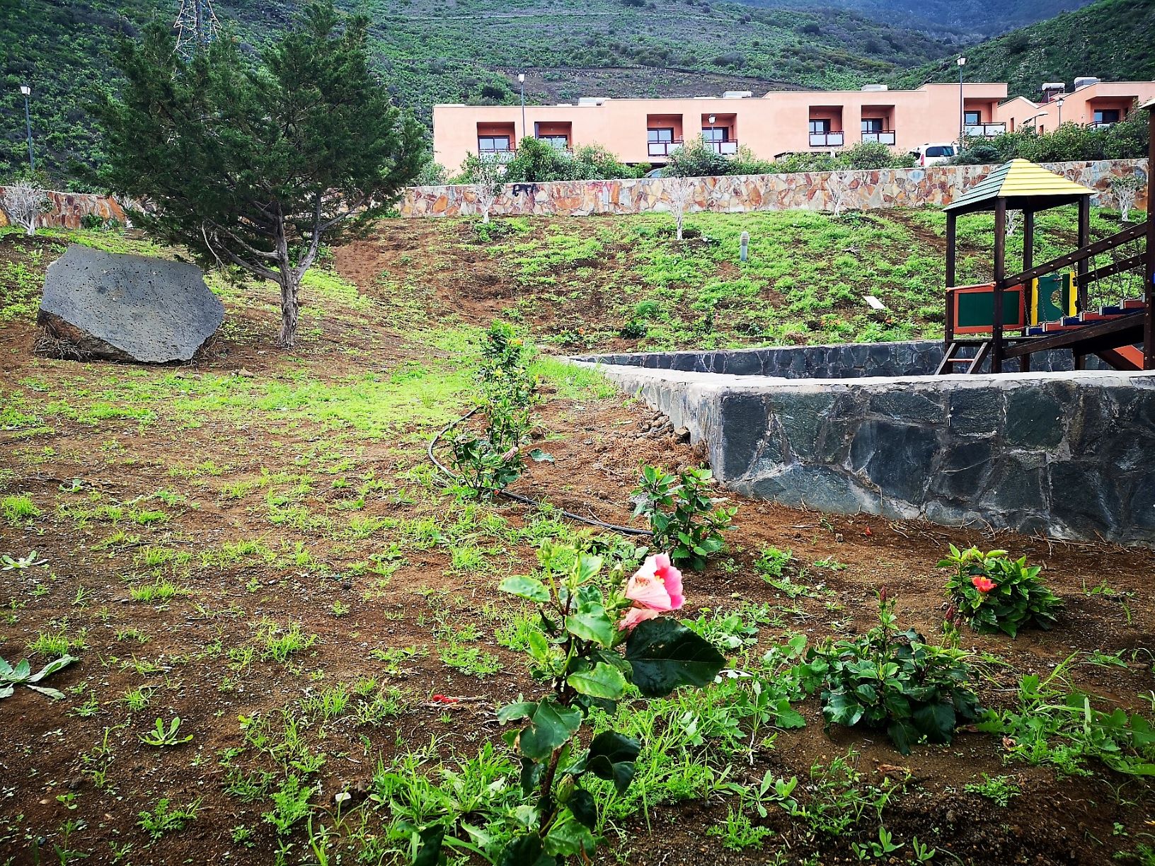 El Ayuntamiento de La Frontera  embellece varios jardines del municipio