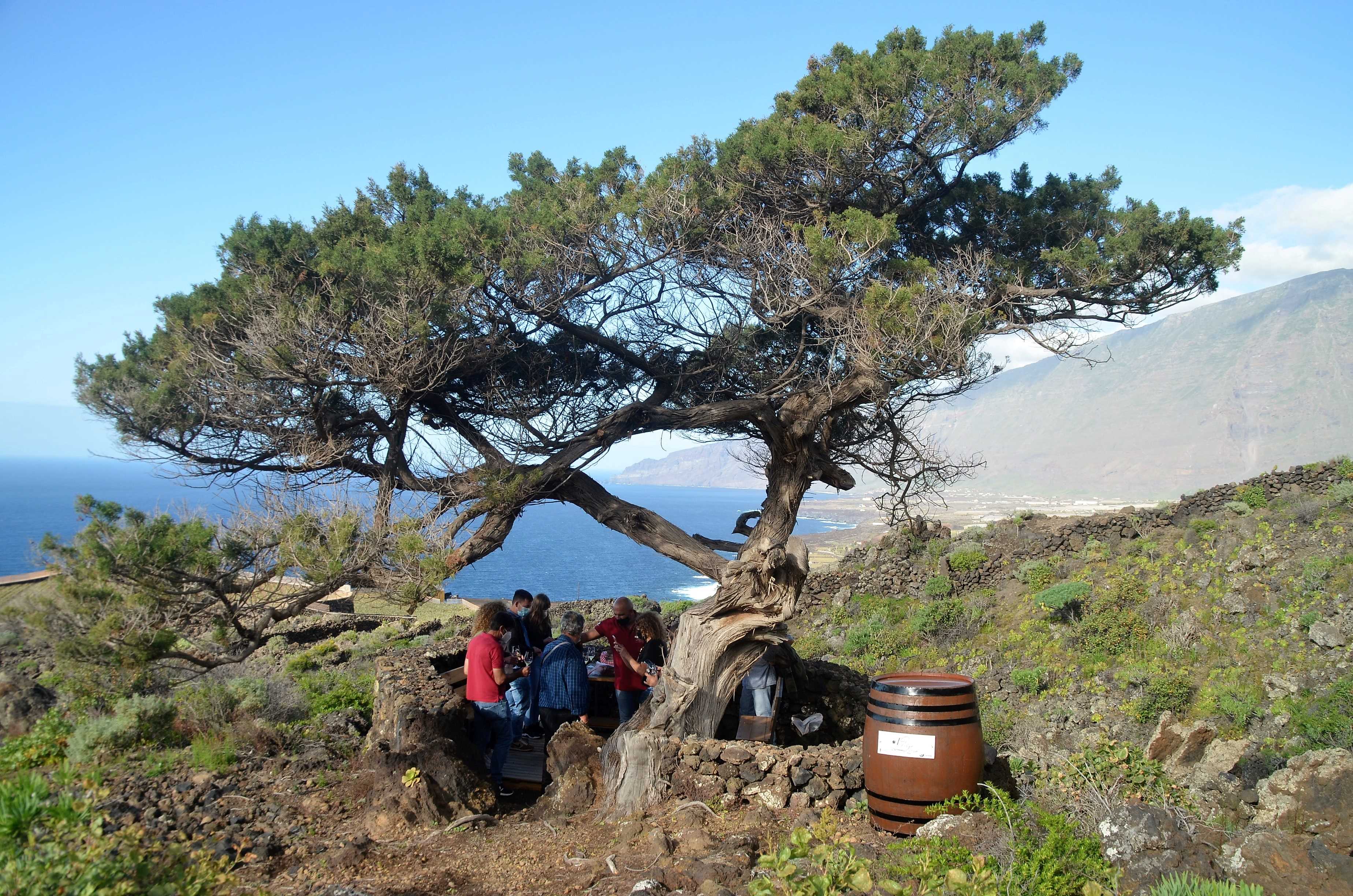 El ayuntamiento agradece la implicación de los bodegueros en el proyecto “Vinos de El Golfo, tradicionalmente únicos” 