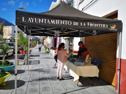 La Frontera lanza la Campaña “ Si las farolas hablaran”