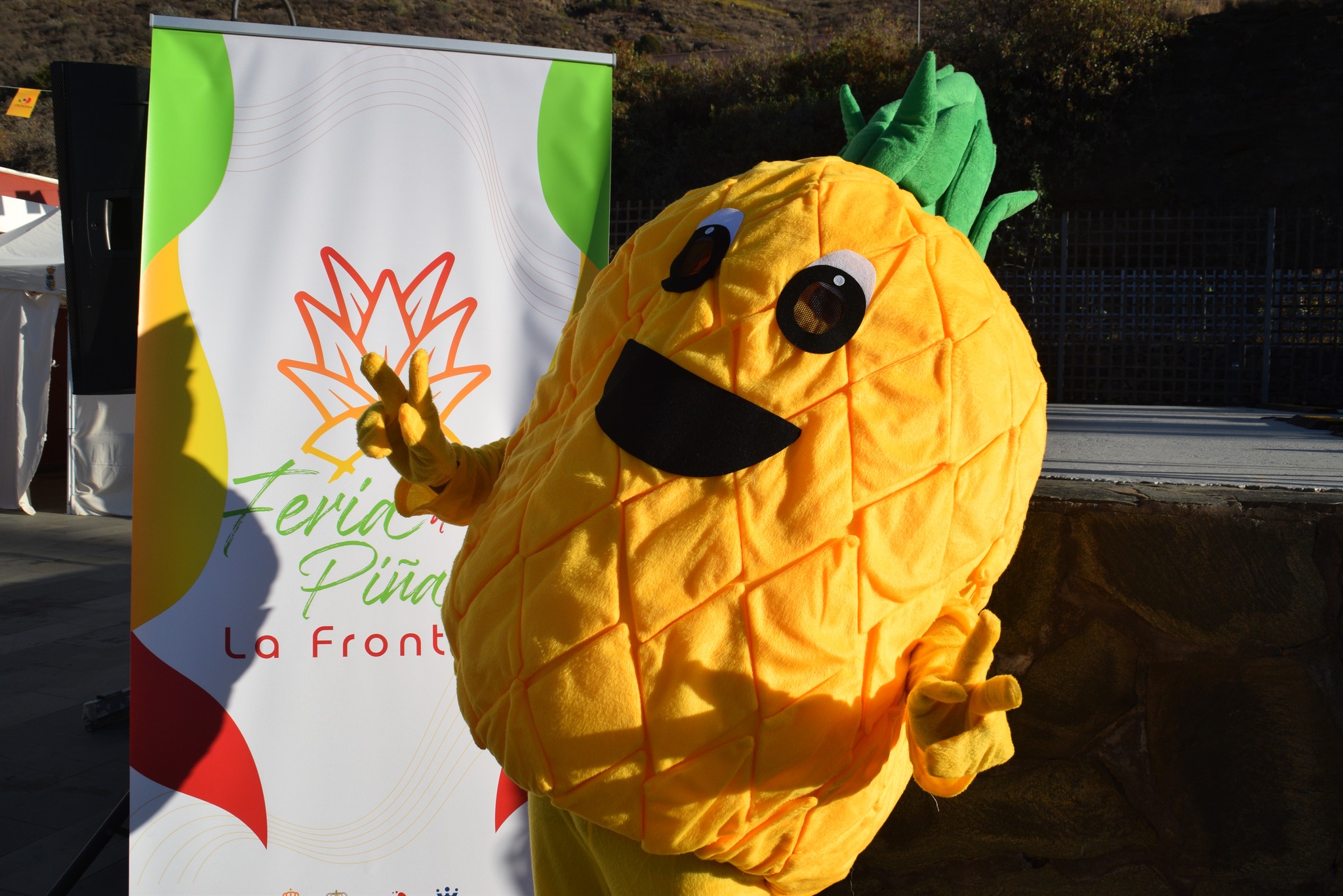 La Frontera abre el plazo de solicitud para los puestos del mercadillo ocasional de la Feria de la Piña Tropical
