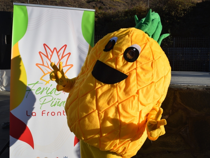 La Frontera abre el plazo de solicitud para los puestos del mercadillo ocasional de la Feria de la Piña Tropical