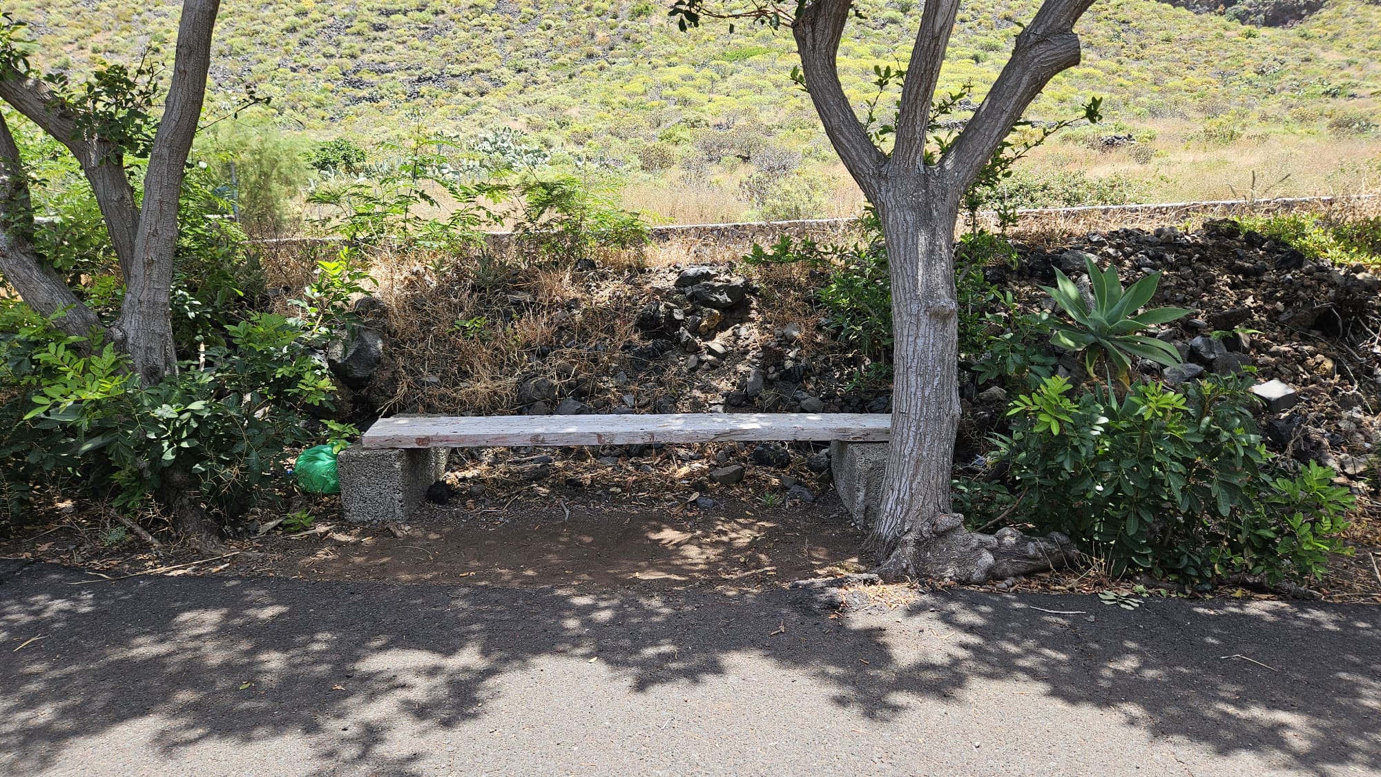 La Frontera reclama al Cabildo de El Hierro actuaciones urgentes para mejorar las paradas de transporte escolar del municipio