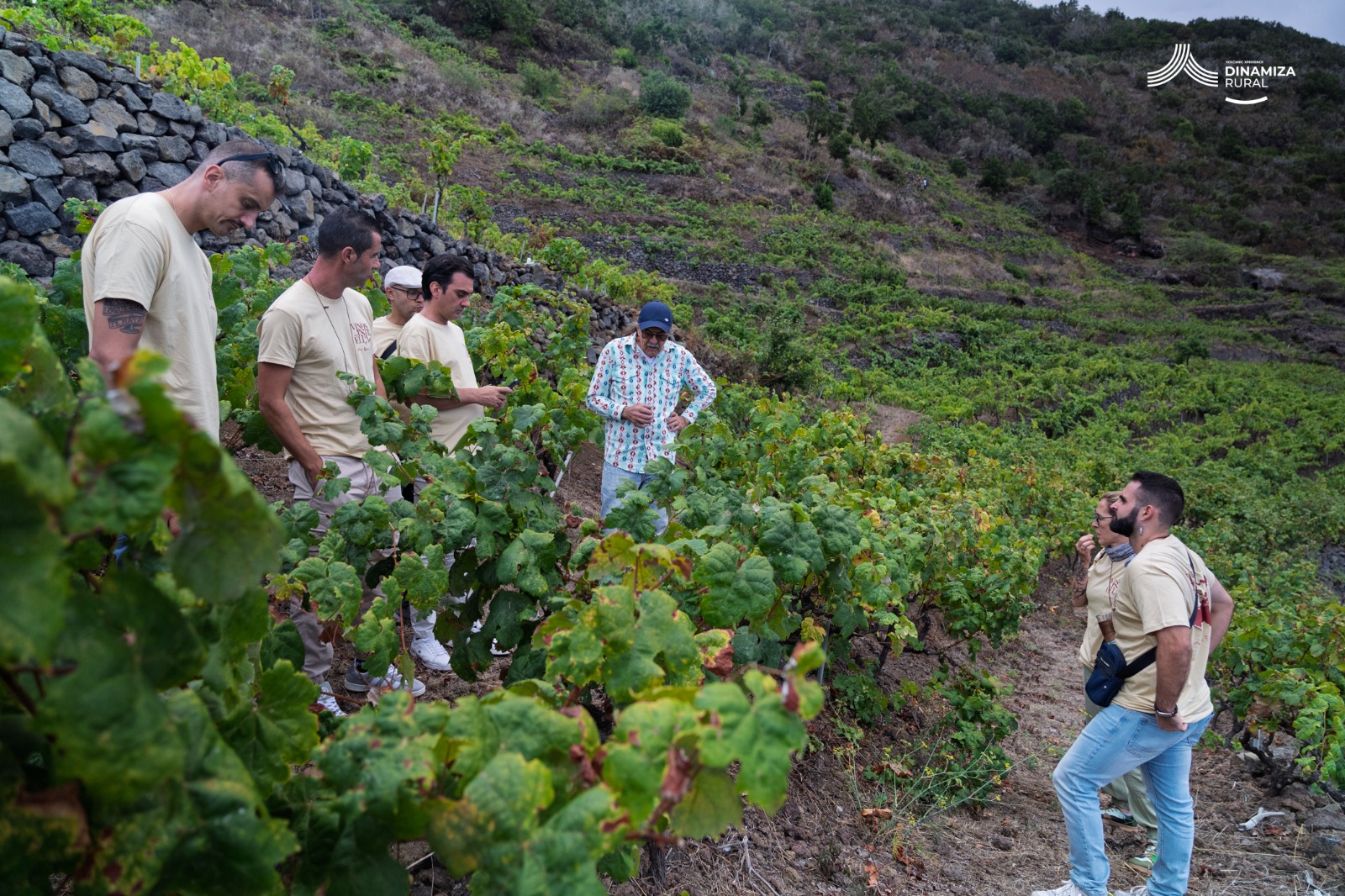 La Frontera, finalista en dos categorías de los I Premios FECAM 2026 con sus proyectos Espacio Joven y Vinos con Estrella
