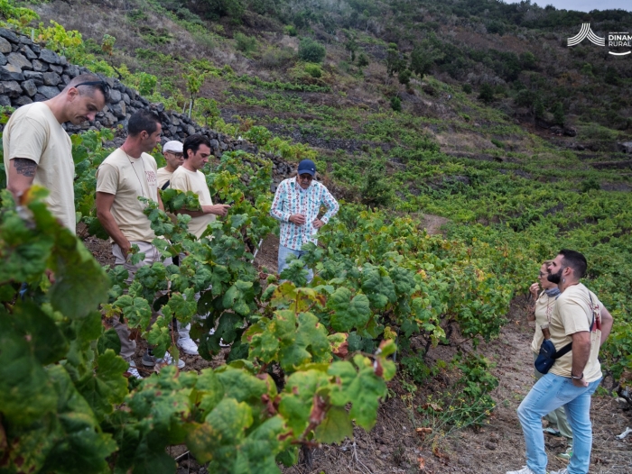 La Frontera, finalista en dos categorías de los I Premios FECAM 2026 con sus proyectos Espacio Joven y Vinos con Estrella